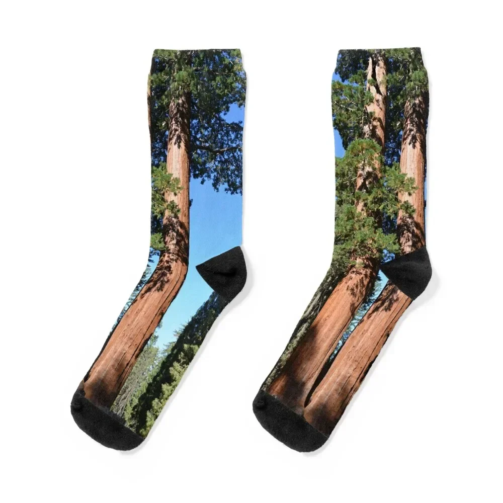 

Giant sequoia trees in Sequoia National Park Socks sports stockings New year's crazy hiking Women Socks Men's