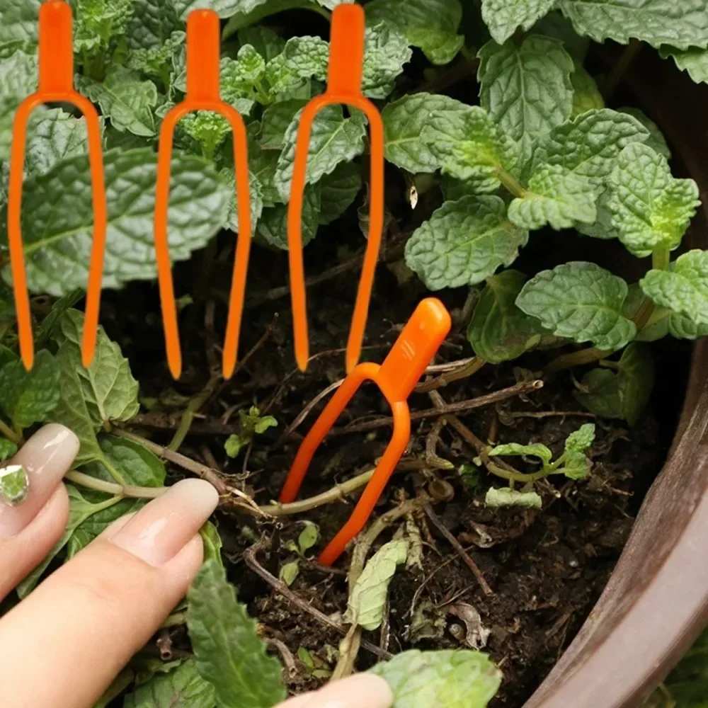 50pcs Plastic Plant Fastening Clips Strawberry Planting Fork Horticultural Supplies Fixed Plant Rooting & Seedling Raising Tools