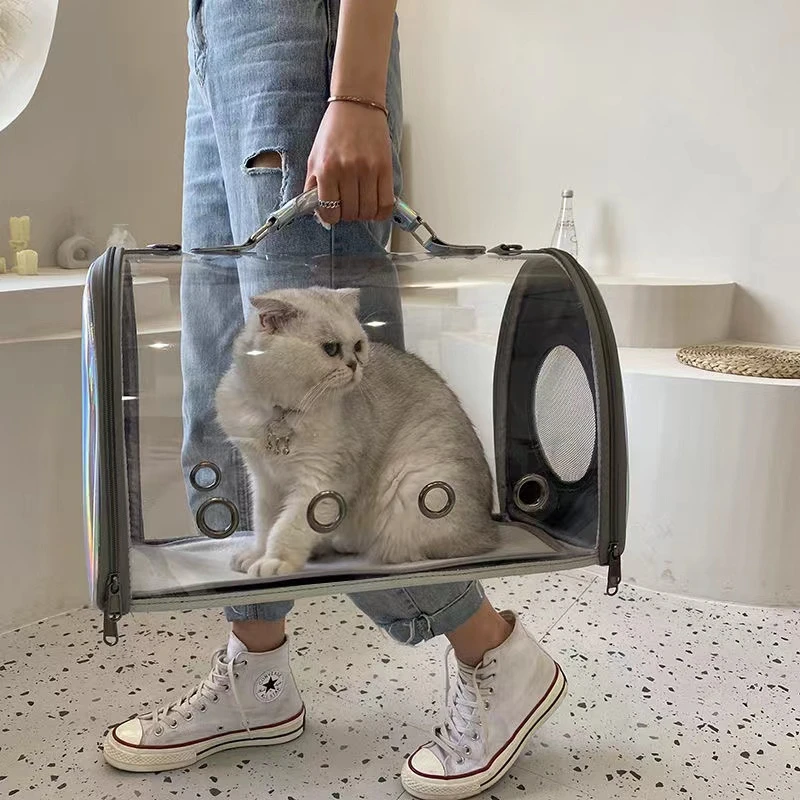 Imagem -04 - Bolsa de Gato a Laser Transparente Pet para Fora Portadores Bolsa de Gaiola de Gato Portátil Cão Mochila Cão Mochila Bolsas Produtos para Animais de Estimação