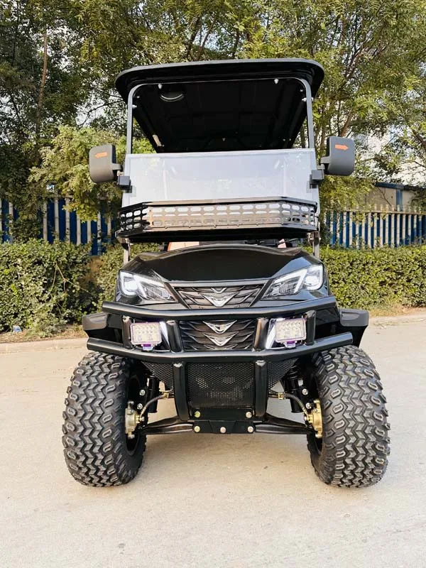 2 4 6 مقاعد عربات الغولف الكهربائية على الطرق الوعرة عربات التي تجرها الدواب سيارة بطارية الطاقة عربة الغولف #4