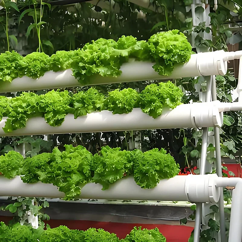 Hydroponic rack vertical pipeline hydroponic equipment factory leafy vegetable greenhouse planting vegetables soilless