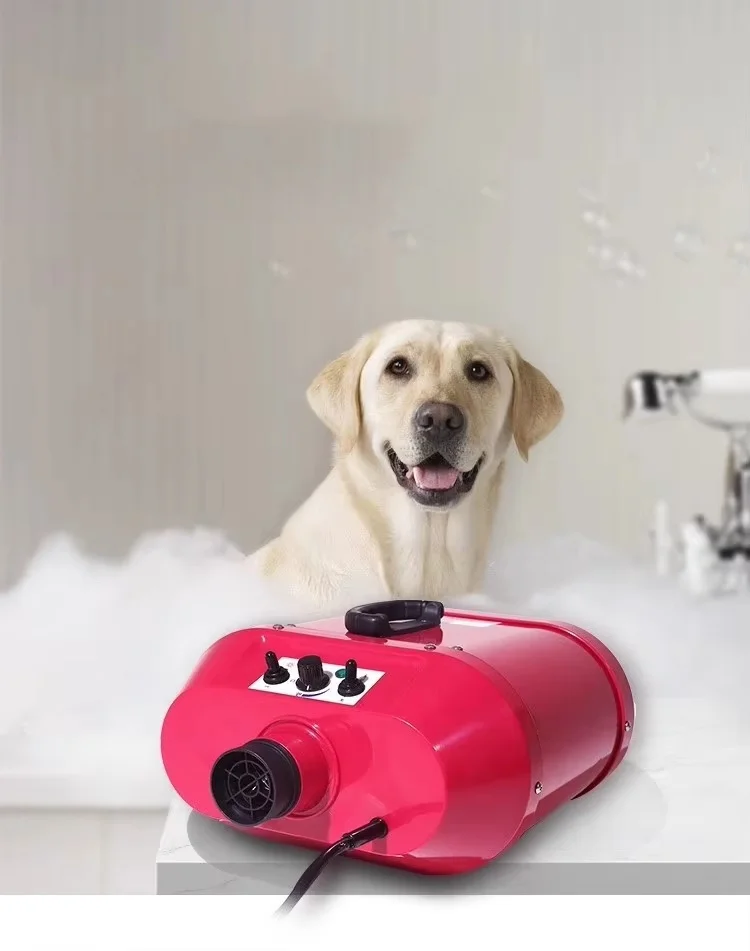 

High Power Pet Cleaning Tools Plastic Metial Hair Blowing for Pet Special Hair Blow Machine Pet Water Blow Dryer