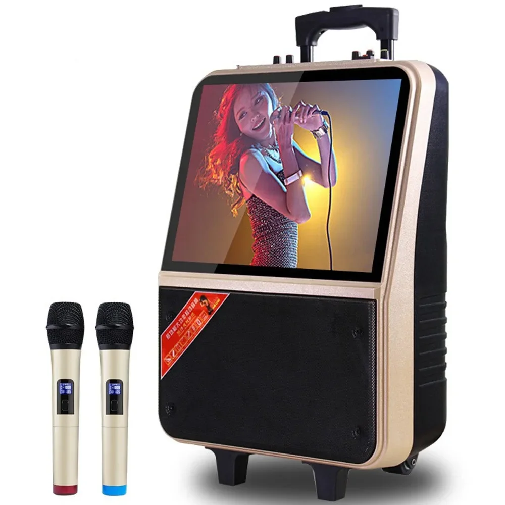 Haut-parleur Audio vidéo Portable d'extérieur, Bluetooth, WiFi, chariot, lecteur de musique, Machine de karaoké, chargement, Microphone MP3 sans fil