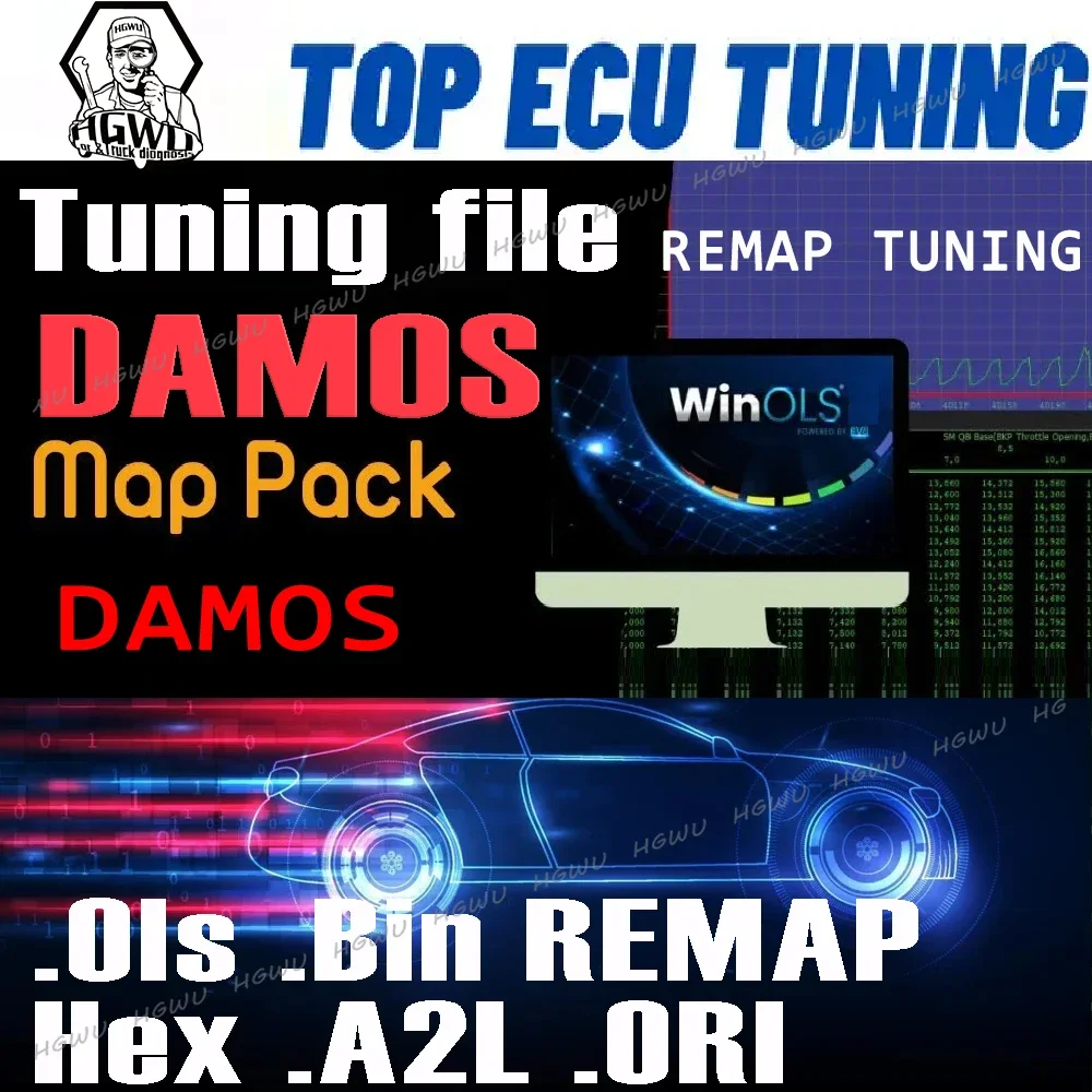 For ECU Progam Win ols Damos(more than 100GB) Origin Damos Car A2L ols KP hex MAPPACK Tuning Remapping MOD Files .BIN Files