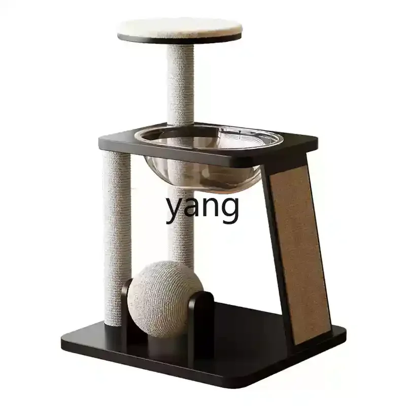 Zl Cat Climbing Fra… - image