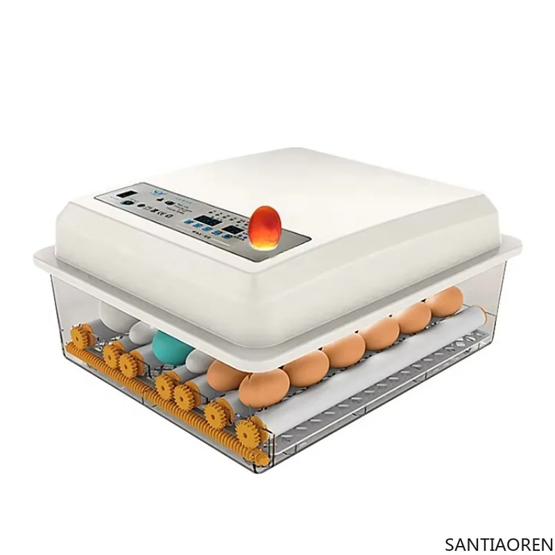 

Low Price Fully Automatic 24 Egg Incubator Mini Egg Incubator