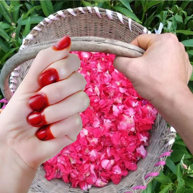 40 جرام مسحوق صبغ الأظافر الحناء للرجال والنساء نبات طبيعي الحناء عميق أحمر بني اللون مسمار تألق مسحوق مسمار الفن الألوان الطبيعية #1