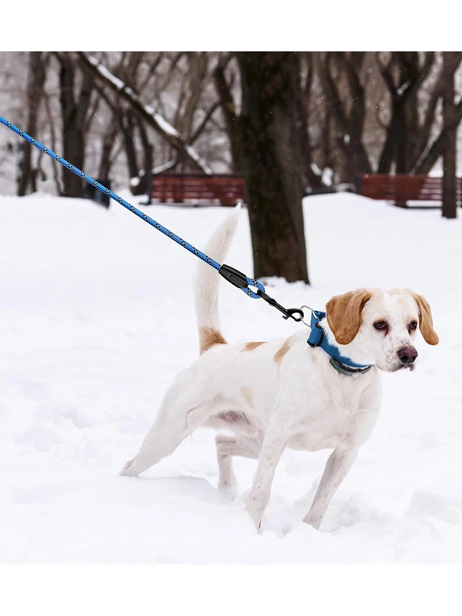 Long Dog Training Lead With Padded Handle For Walking And Training_voghion.com
