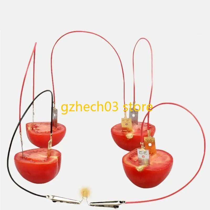 Expérience G2AC Fruit Powered a mis main sur le jouet d'assemblage