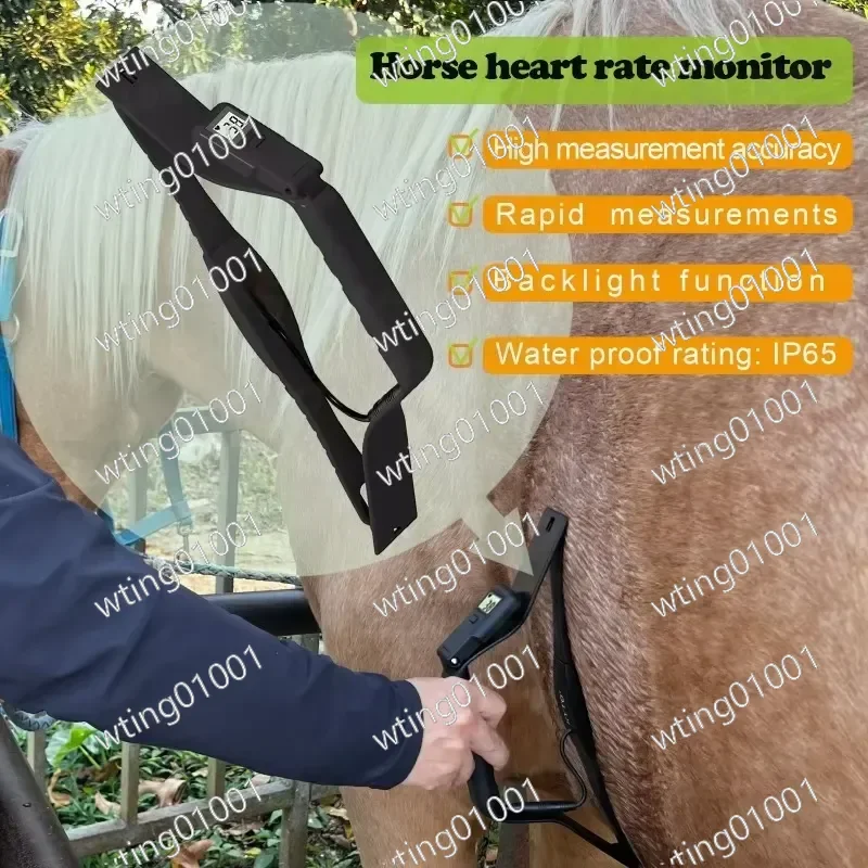 for KYTO2595 Horse Heart Rate Monitor with Backlit LCD Display Waterproof Design Fast Reading High Precision Sensor Device