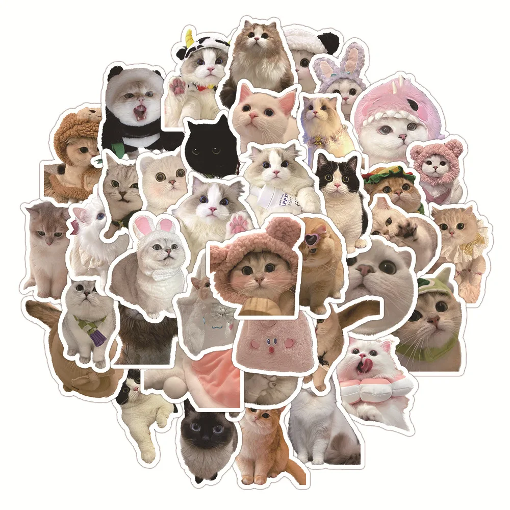 60PCS Kawaii Cat Stickers PVC Cartoon Cute Decals Toy Stationery Guitar Phone Aesthetic Decorations Refrigerator Supplies