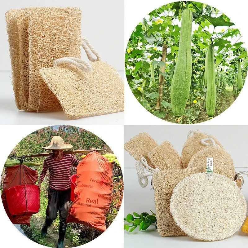 Natural Loofah Sponge Kitchen Sponge Wash Dish Eco-Friendly Shower Luffa Body Scrubbers Loofa Biodegradable Sponge