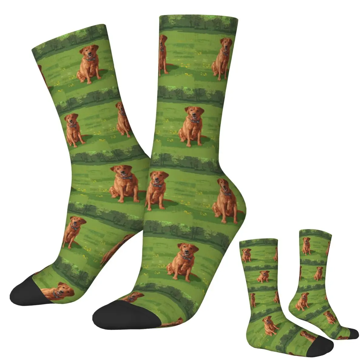 

Фокс красный желтый лабрадор ретривер охотничьи носки для собак Harajuku высококачественные чулки всесезонные длинные носки рождественские подарки