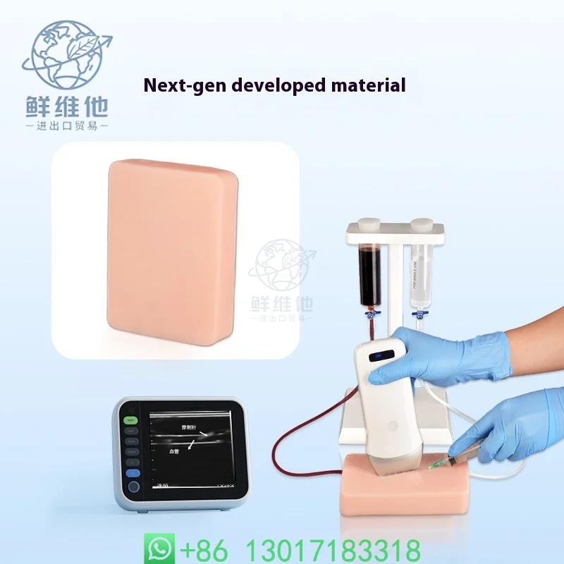 

Ultrasound Guided Vascular Puncture Model Ultrasound Simulation of Blood Circulation Ultrasound Puncture Injection Training Pad