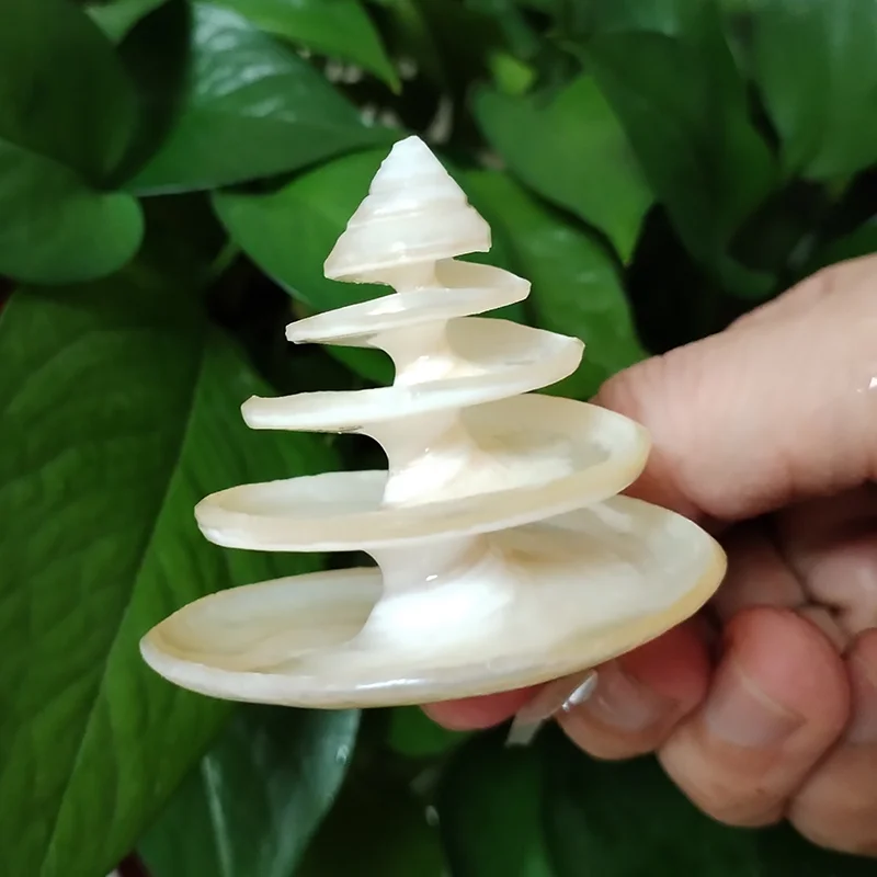 Pérola Natural Espiral Concha Branca Thatcheria Mirais Conchas Mar Decoração Ornamentos, Paisagismo Eremita Caranguejo Alternativa, 2 Pcs
