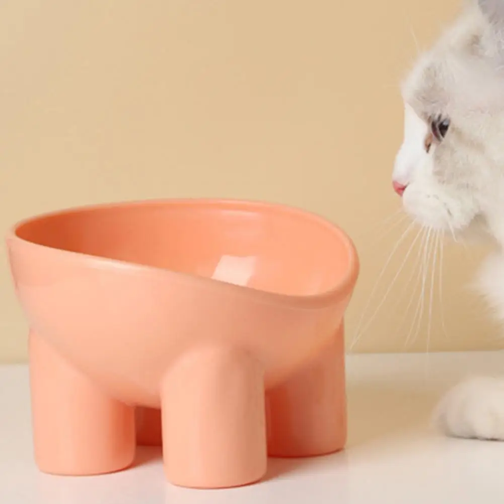 Pet Slanted Feeding Bowl Large Capacity Anti-overturning Anti-slip Neck Protection Water Bowl For Cats Dogs Food Container Bowl