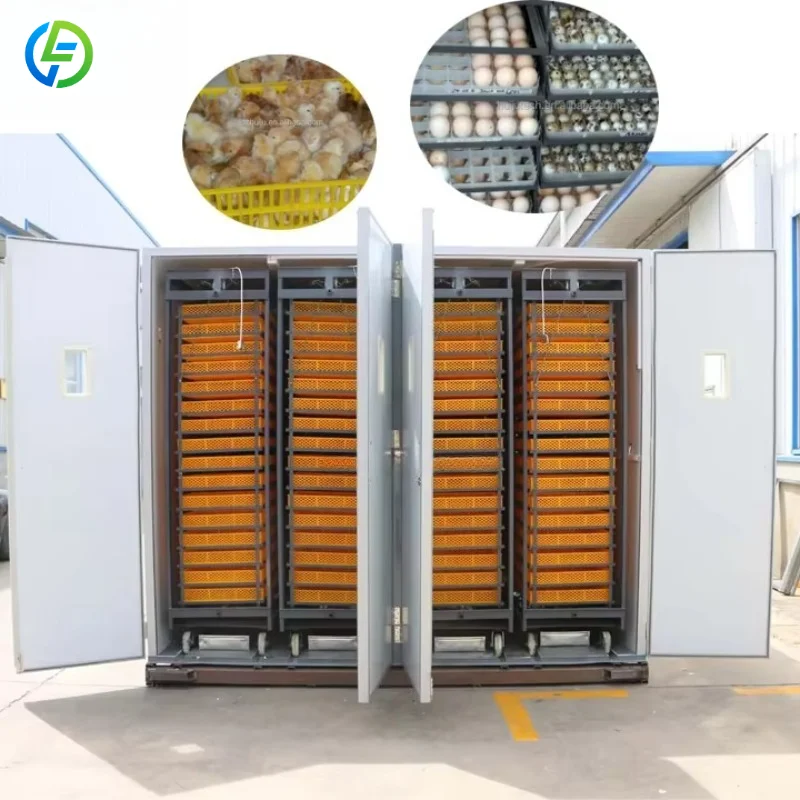 Customized Eggs Incubator for Hatching Chicks Chicken Eggs Incubator Machine Fully Automatic Hatchery