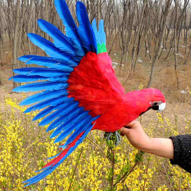 real life wings parrot model foam&feather red&blue parrot gift about 45x60cm d0181