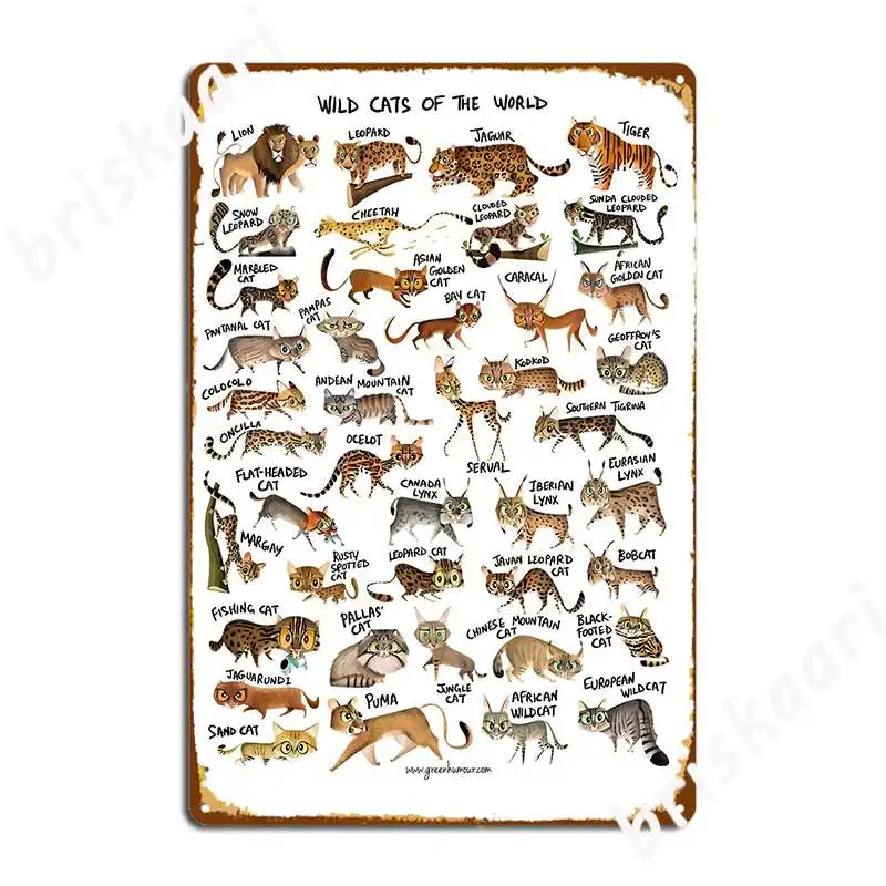 Wild Cats Of The World Metal Sign Club Bar Mural Painting Club Retro Tin Sign Poster