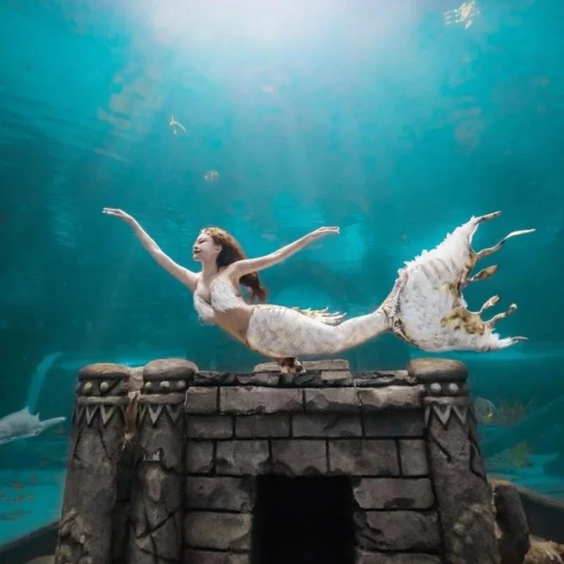 Mermaid tail, flowing feathers, photographed at the aquarium