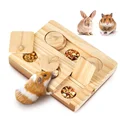 Foraging Toy