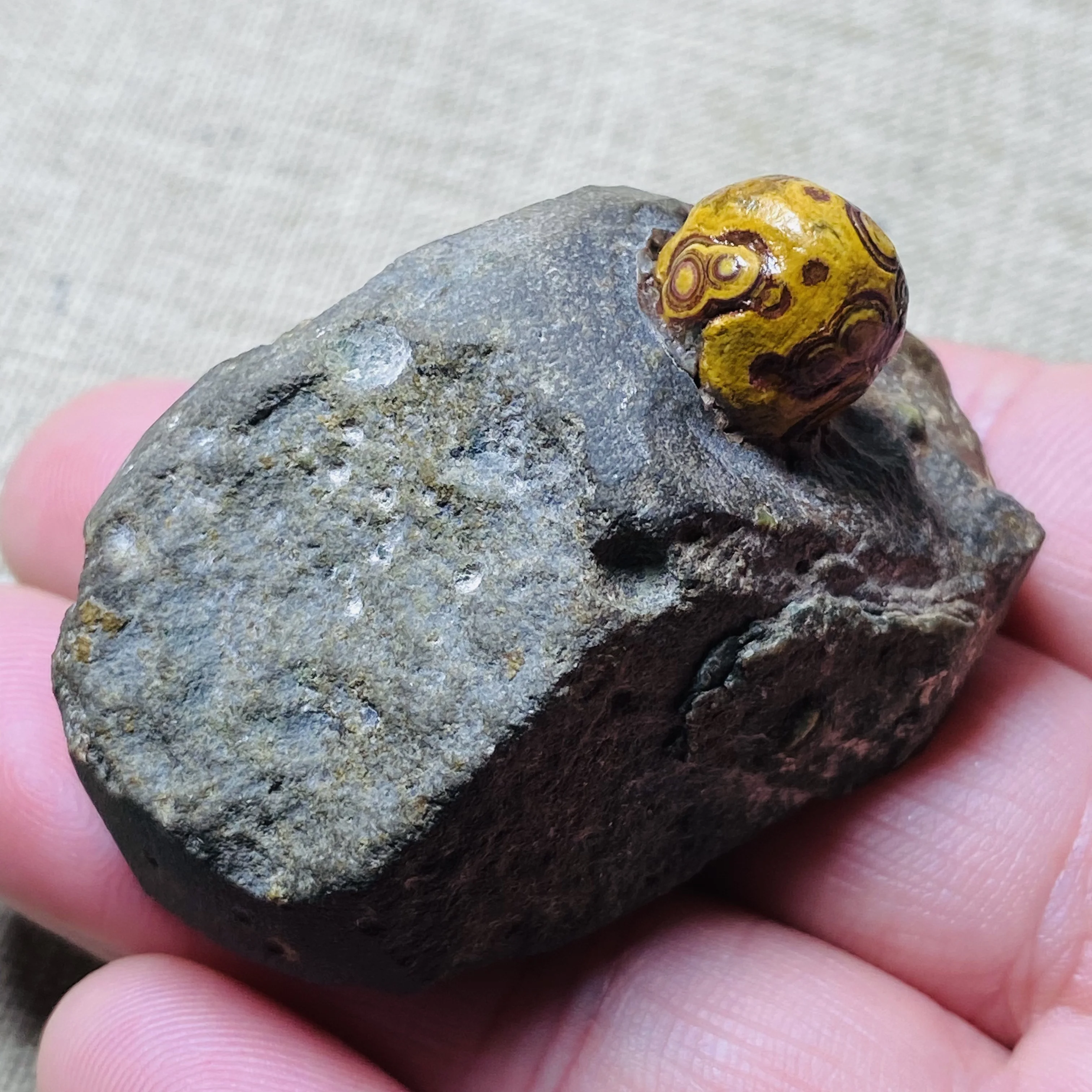 Natural Gobi Eye Agate Stone Specimen Rare Collectible Mineral Home Decoration Gift - view 2