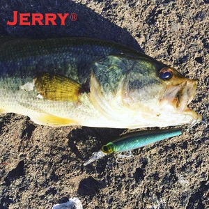 Fiş balıkçılığını cezbetmek için en iyi 10 satış №10