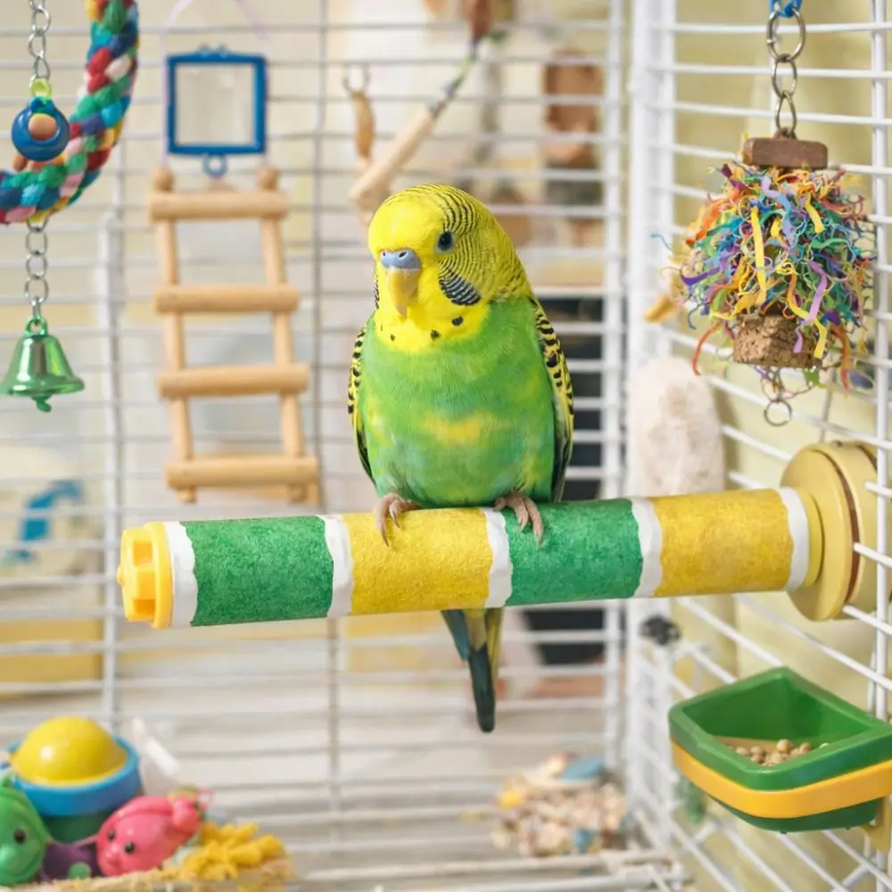 

Frosted Parrot Perching Station Rack Wear-resistant Non-slip Bird Claw Grinding Rod Bite Resistant Stable Bird Teeth Chew Pole