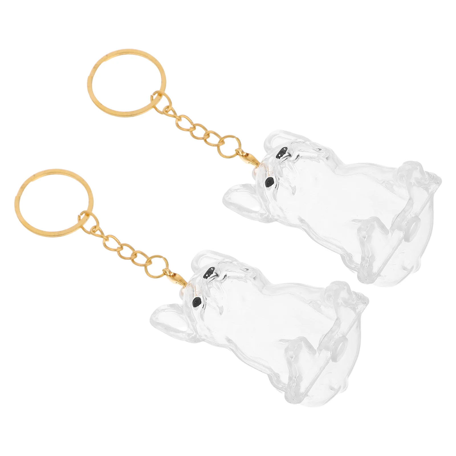 Caja de almacenamiento de pelo de mascota, colgante de llavero de perro transparente para cenizas, joyería de recuerdo, Mini urna, cápsula con dije, recuerdo de viaje, 2 uds.