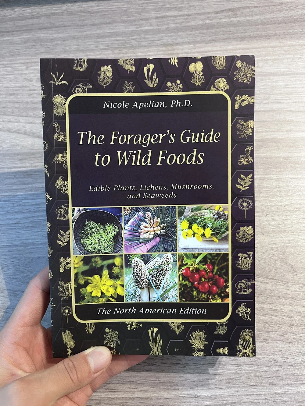 

The Forager's Guide To Wild Foods - All Edible Plants,Lichens,Mushrooms and Seaweeds of North America