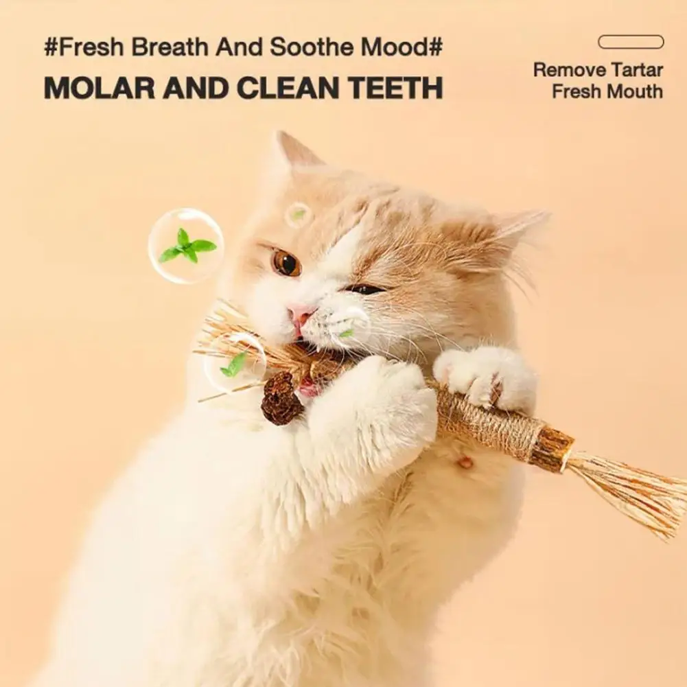 Giocattoli per gatti Pulizia dei denti Silvervine Bastone da masticare Snack per animali domestici Bastoni Roba naturale con erba gatta per gattino Erba gatta Stuzzicare da masticare per O2R5