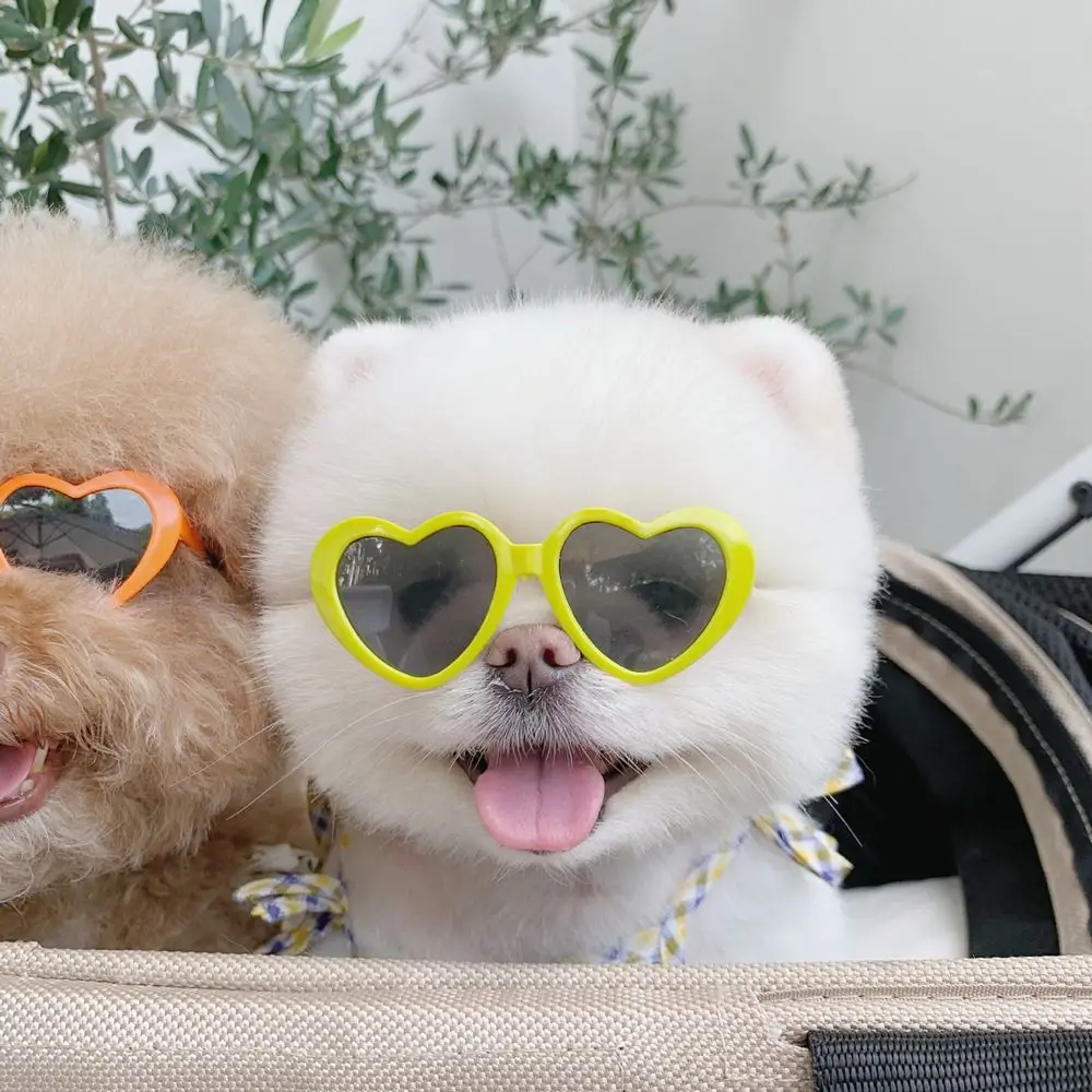 Cute Heart Pet Glasses Pet Accessoires Pet Products For Small Cat Pets Party Decor Cat Sunglasses Cat  Eye-Wear Cat Glasses