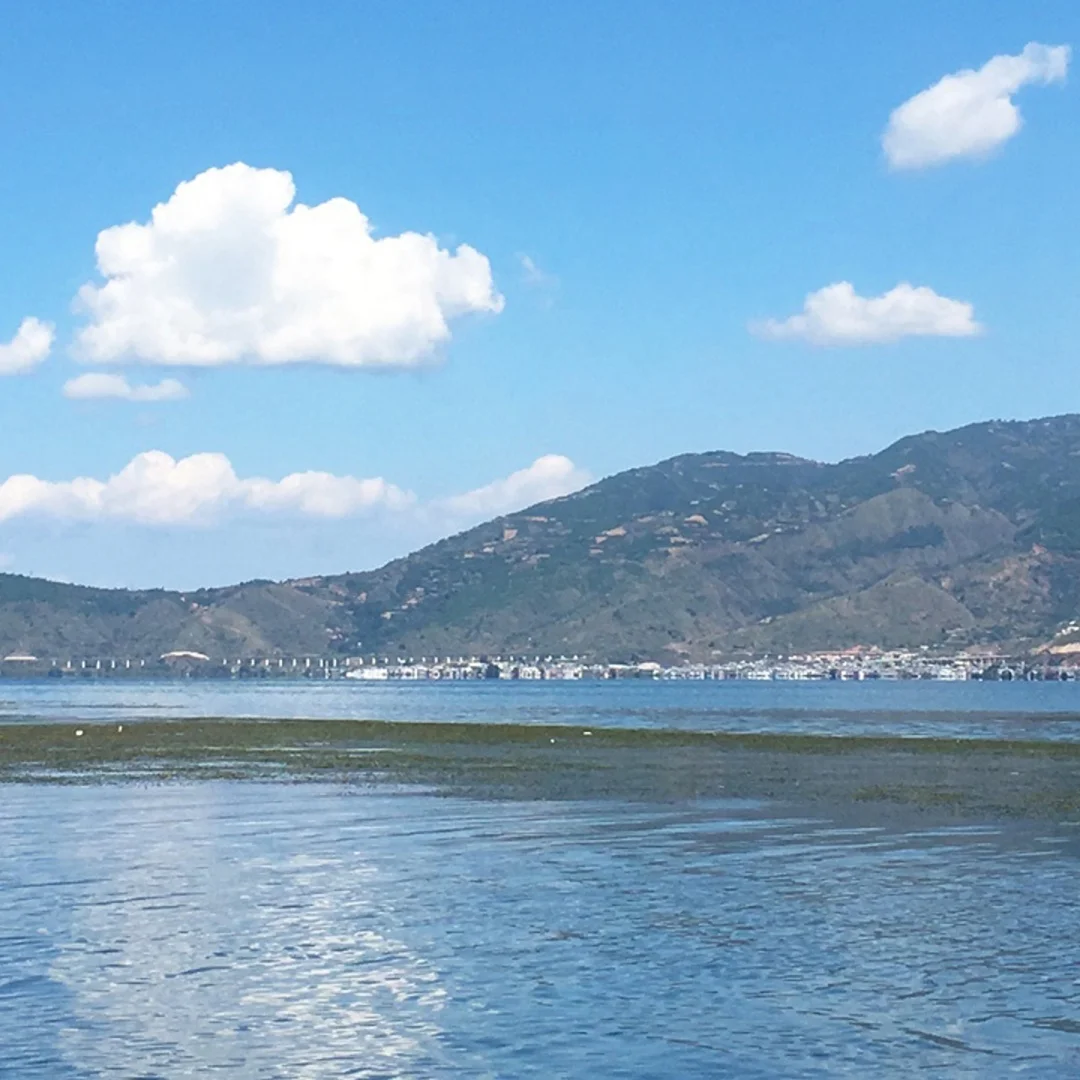 Digital Cluster Ins…