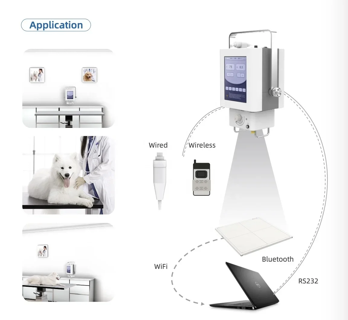 Vend Veterinaire apparatuur CANIS 5C draagbare röntgenmachine draadloze röntgenapparatuur 100mA 5KW Mobiele DR röntgendetectormachine