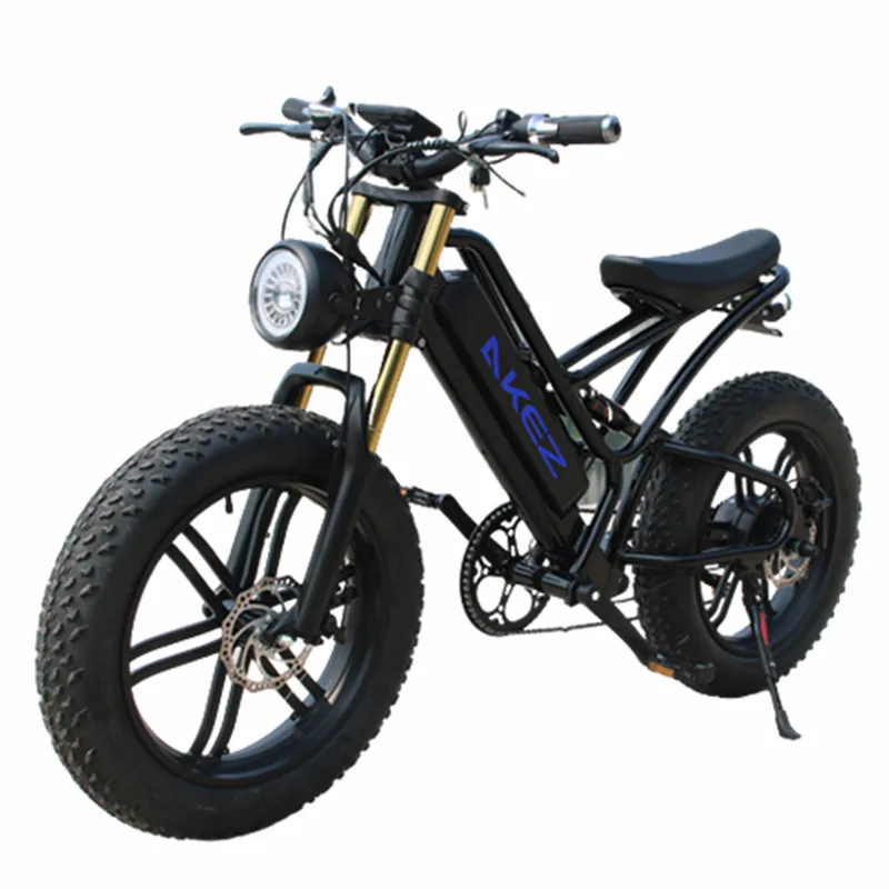 20 Inch Fat Tire Off Road Electric Bike Adults For Long Distance 50KM 750W 48V Mountain Electric Bicycle Woman Removable Battery