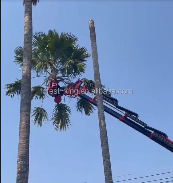 

EForestry Machinery 500mm Tree Cutting Machine Grapple Saw, Timber Collecting, Hauling And Pruning All In One Grapple Saw