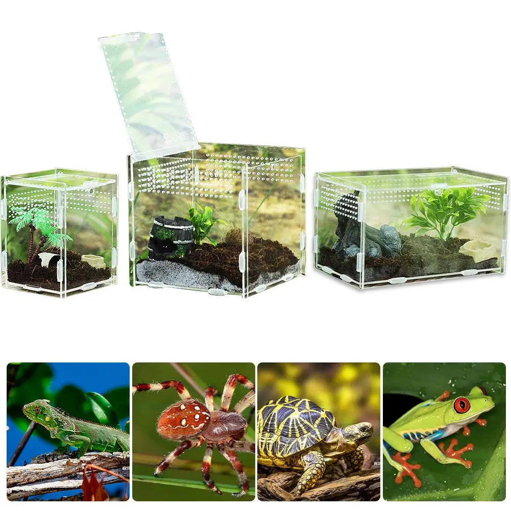 Multiple Vents Reptile Breeding Box Acrylic Transparent Reptile Tank Insect Spiders Scorpions Mantis Feeding Box Terrarium Tank