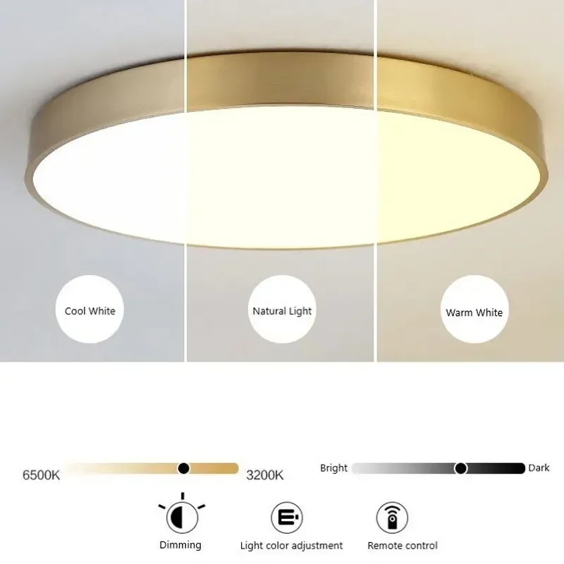 110V Modern LED Corridor Ceiling Light Lamps Simple Golden Round for Living Dining Room Bedroom Aisle Balcony Lighting Fixtures