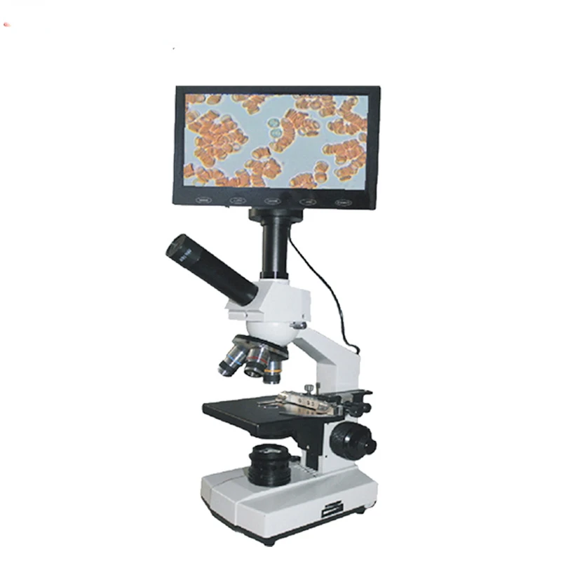 

Latest blood analysis darkfield live blood and dry blood microscope