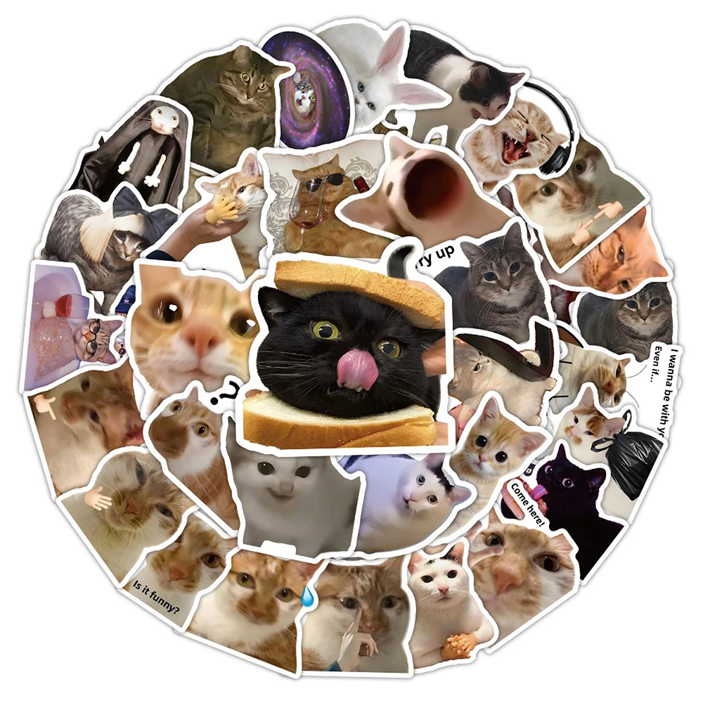 

10/30/56pcs Mix Cat Meme Graffiti Stickers Funny Animal Decals Water Bottle Phone Case Suitcase Cute Decoration Sticker Kids Toy