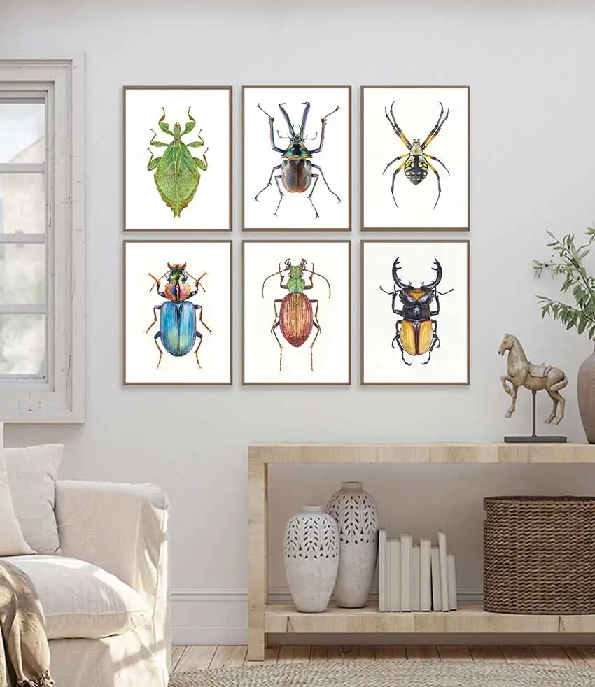 1pc frameless Insect Beetle Collection Retro Poster Spider Fly Canvas Painting and Prints Wall Art Picture for Living Room Home