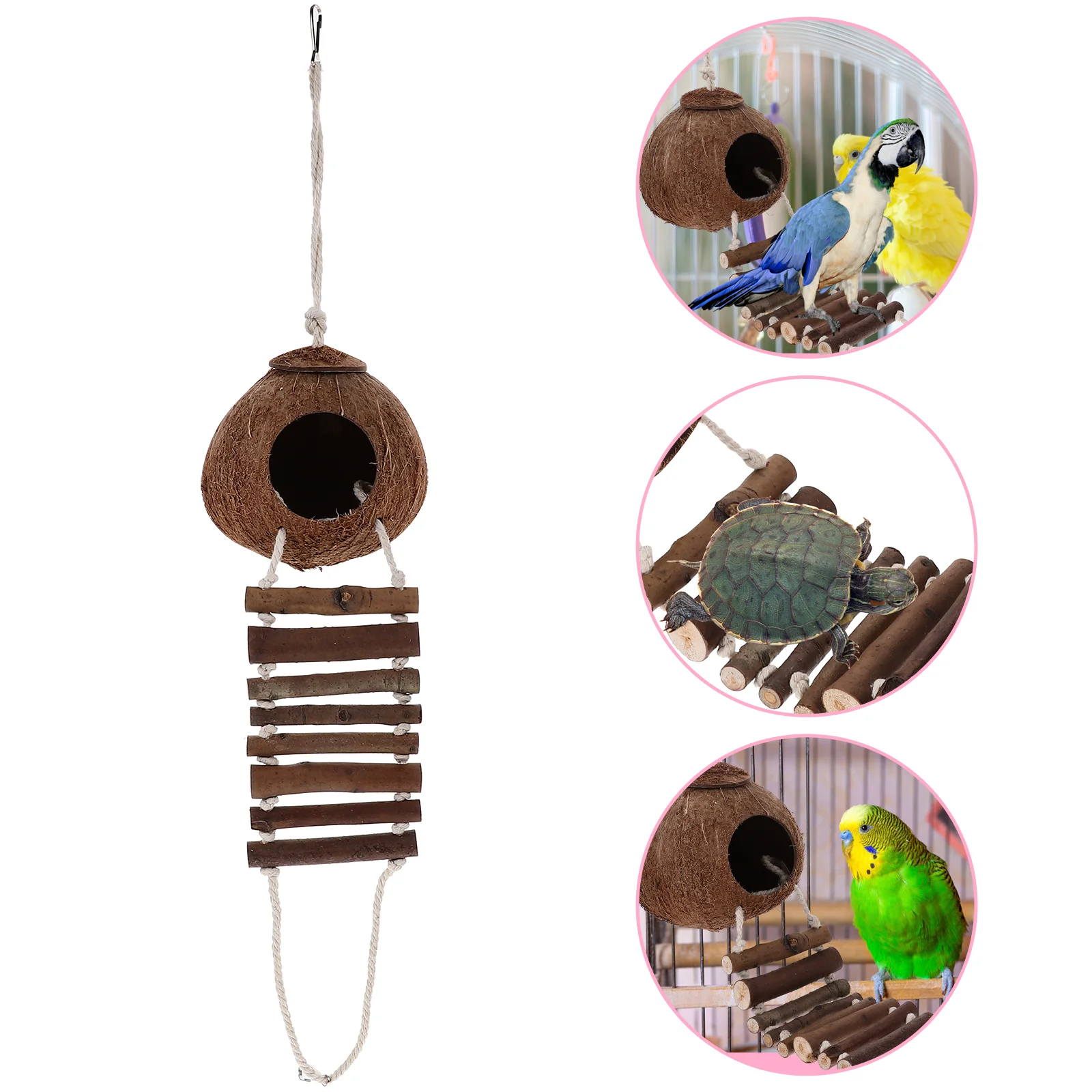 

Hermit Cave Habitat with Ladder Hanging Ring Coconut Shell Terrarium Decor Supply