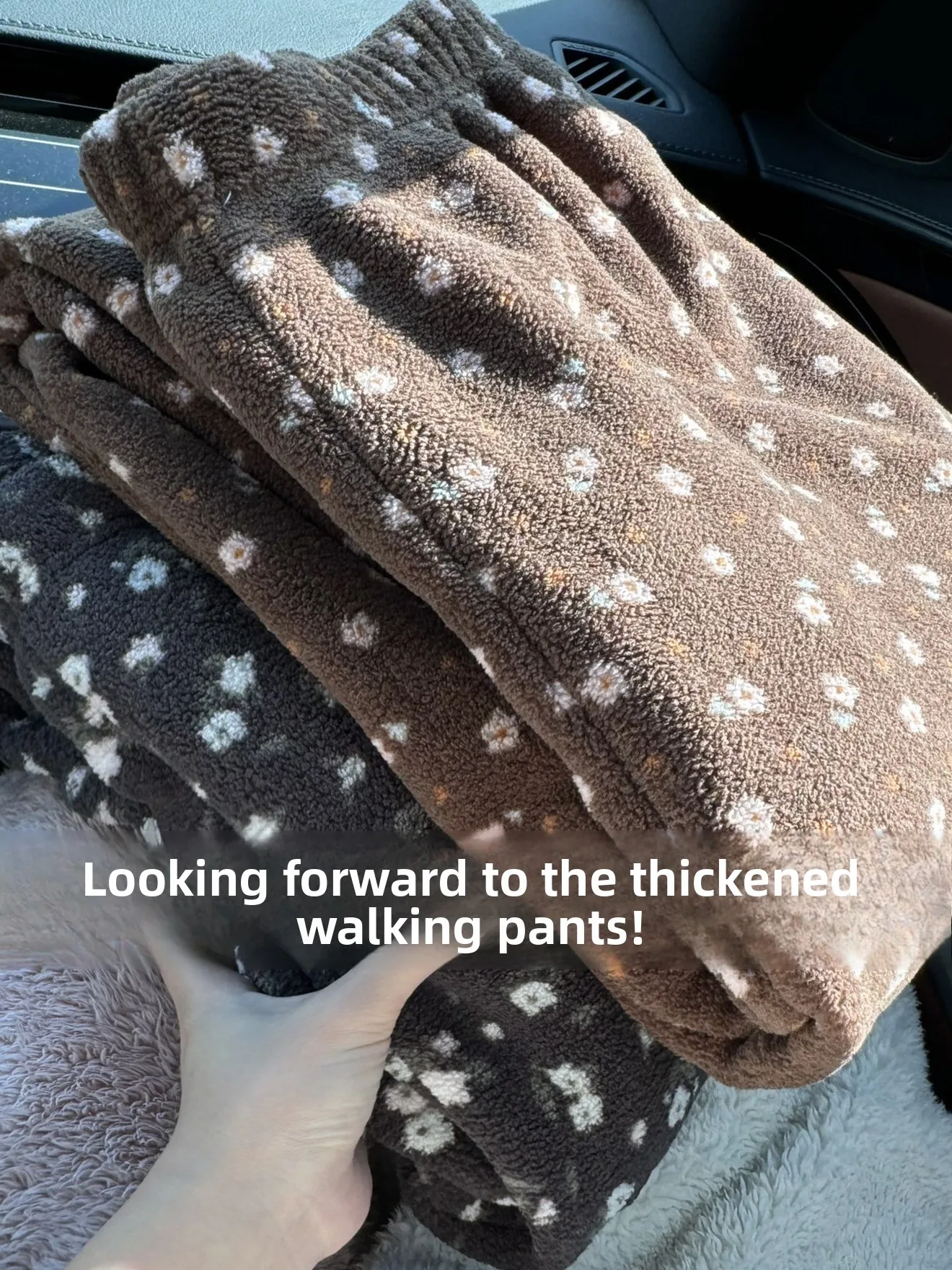 Thickened Floral Print Coral Fleece Warm Pants Home Heating Pants Straight Leg Walking Pants Outdoor Wear Sleepwear