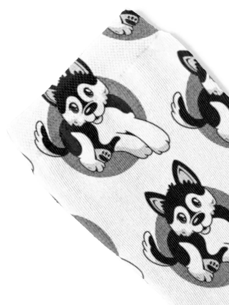 Pomsky dog Socks men cotton high quality Christmas Ladies Socks Men's