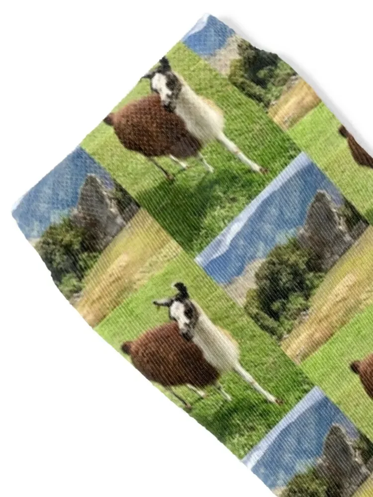 Llama Socks Men's short Children's Socks Woman Men's