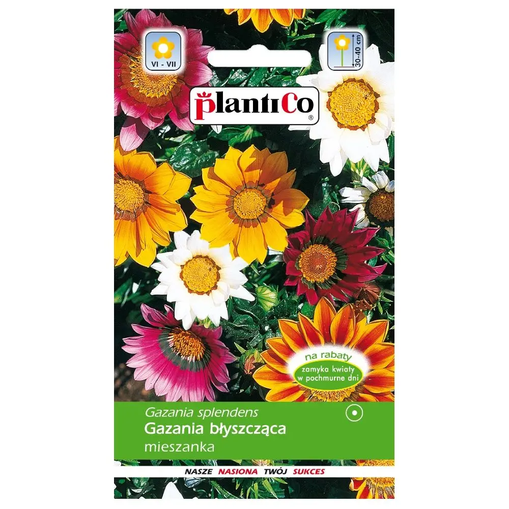 Mélange de graines PlantiCo Gazania brillant 0,3g - fleurs annuelles pour jardin, balcon et terrasse, plante solaire, hauteur 30-40 cm