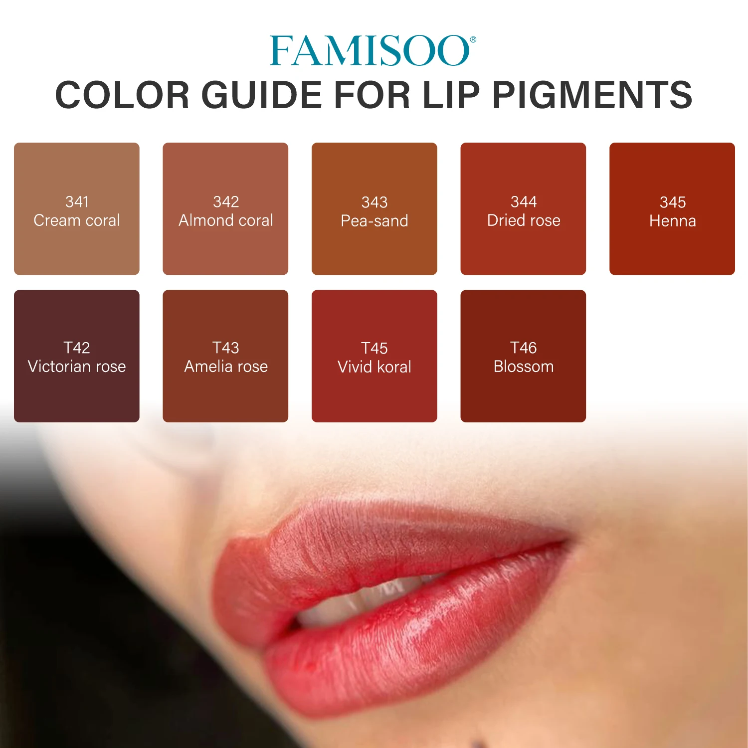 FAMISOO PMU Пигмент для губ (0,5 унций/15 мл) Профессиональные чернила для татуировки для стойких губ Цветные чернила для микроблейдинга Перманентный макияж