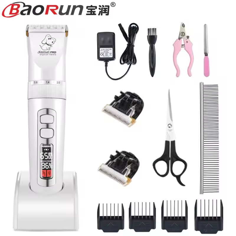 2. Baorun P..