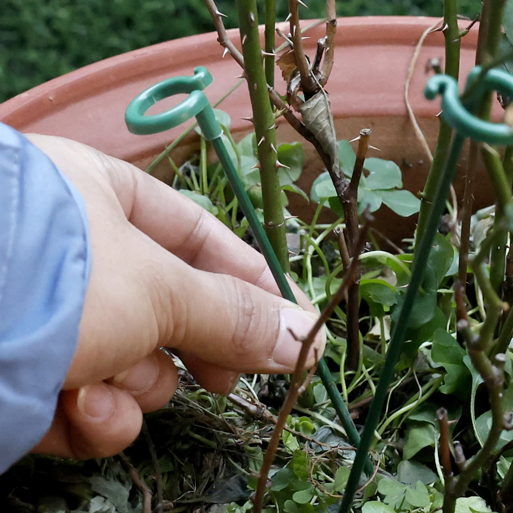 Varillas de soporte para plantas de plástico, ayuda vertical para ramas, poste de soporte para modelado de flores, soporte para orquídeas y mariposas carnosas, accesorio de jardinería