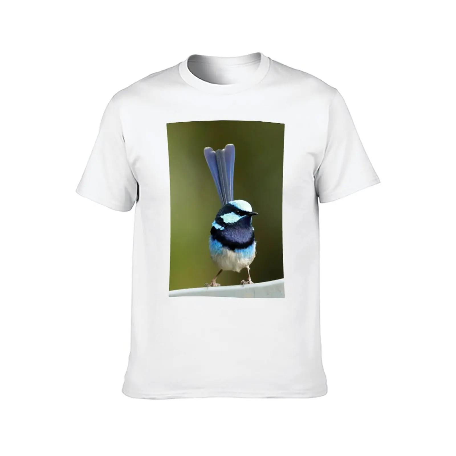 Blue Superb Wren 7214 T-Shirt oversizeds summer clothes blue lock mens graphic t-shirts funny